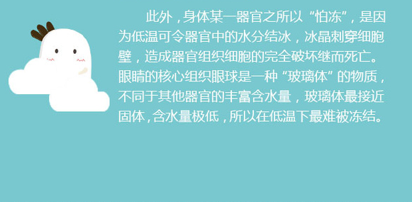 告訴你個“小秘密”：為什么眼睛不怕冷？