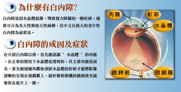 多方面認識白內(nèi)障，莫讓致盲把心傷